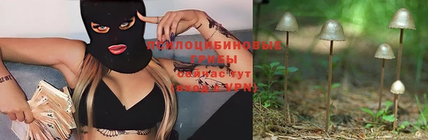амфетамин Аркадак