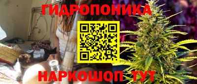 apvp Туймазы